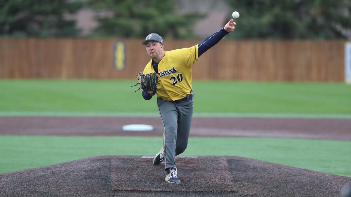 Baseball sweeps USF in three-game series