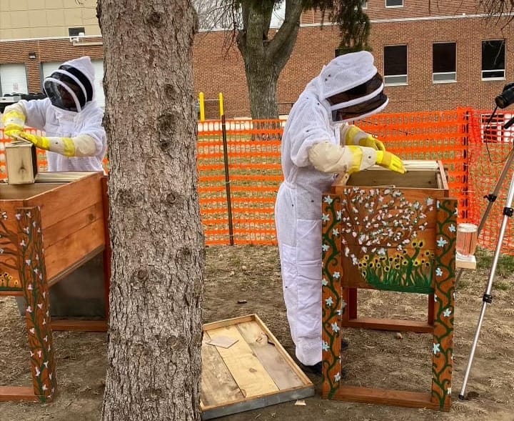 Beekeepers abuzz with sustainability project