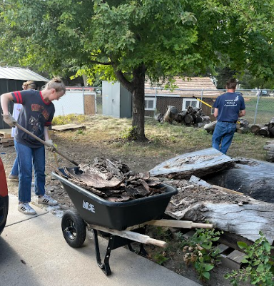 Old Maple repurposed, legacy shared during Viking Days